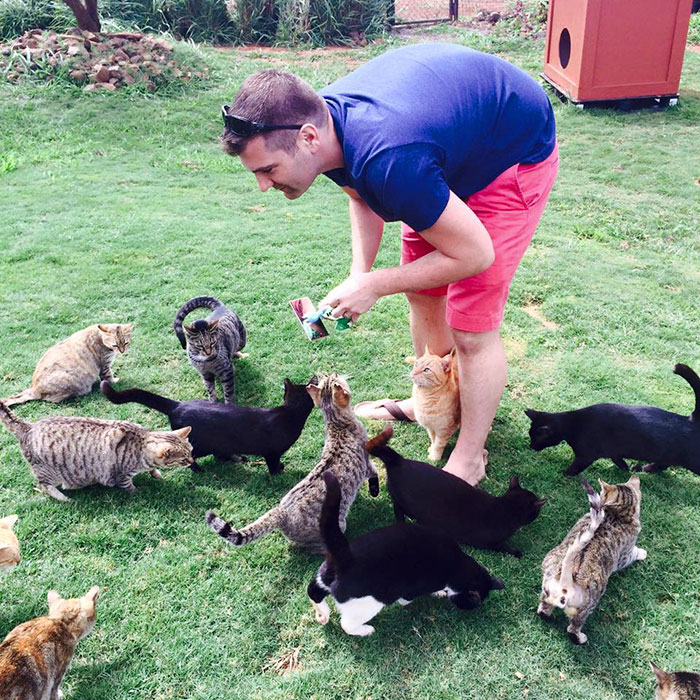 santuario-gatos-lanai-hawai (8)
