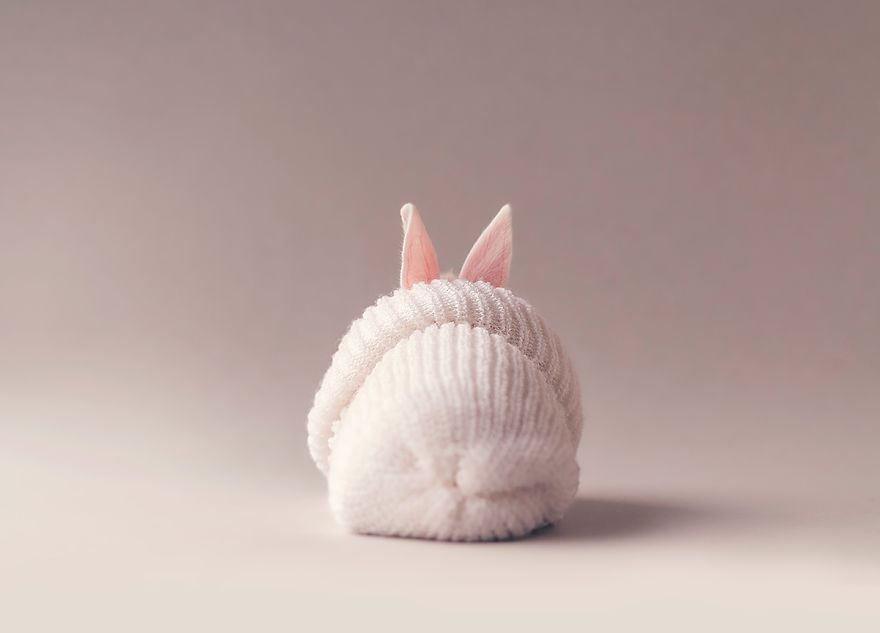 sesion-fotos-cria-conejo-ashraful-arefin (9)
