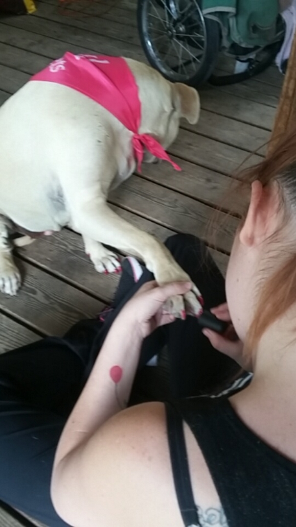 ultimo-dia-perro-snapchat-17