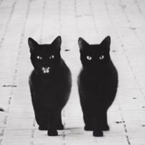 ajala8 avatar
