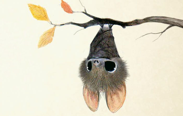 adorables-ilustraciones-animales-sydney-hanson (10)