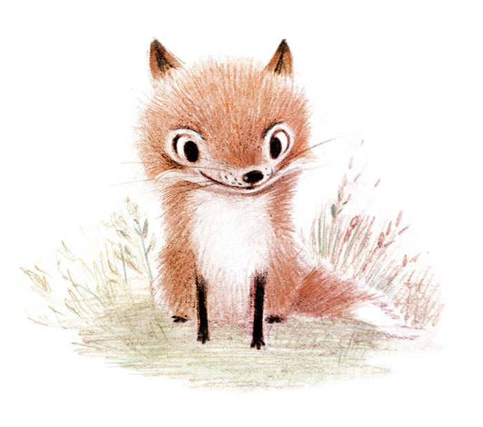 adorables-ilustraciones-animales-sydney-hanson (2)