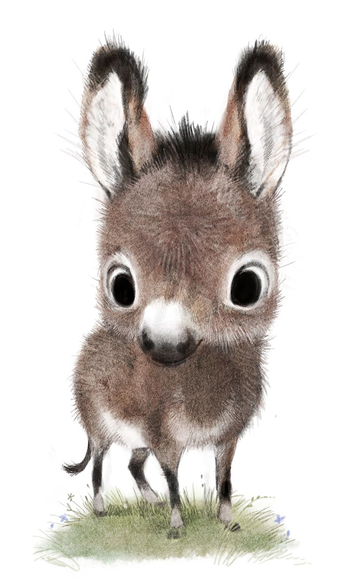 adorables-ilustraciones-animales-sydney-hanson (4)