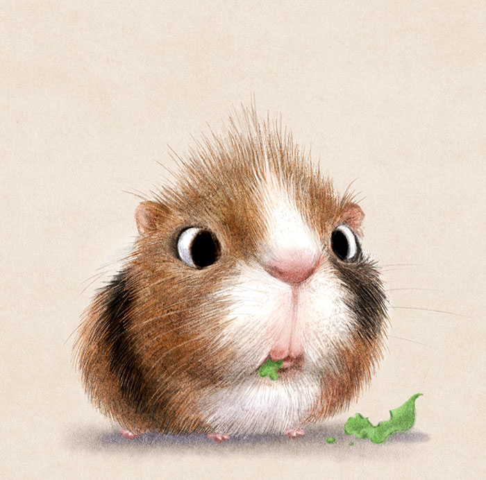 adorables-ilustraciones-animales-sydney-hanson (5)