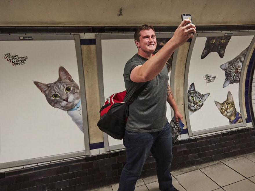 anuncios-gatos-estacion-metro-londres (6)