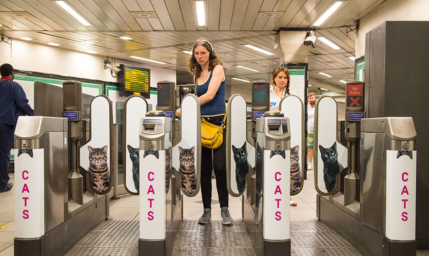 anuncios-gatos-estacion-metro-londres (8)