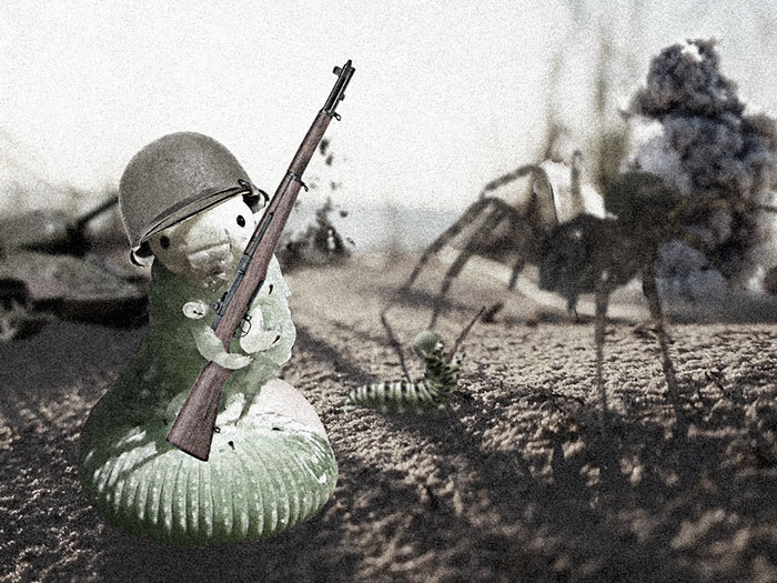 batalla-photoshop-oruga-reddit (10)