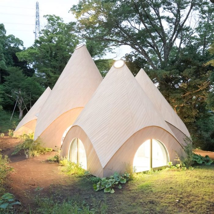 Estas damas retiradas viven una vida de ensueño en una cómoda casa del bosque diseñada por un arquitecto japonés