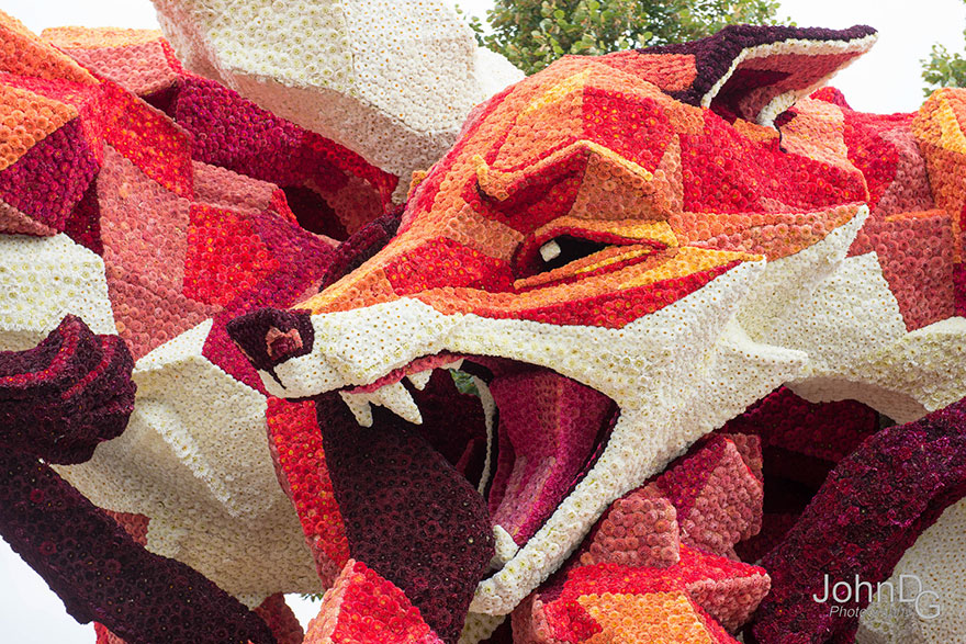 desfile-flores-dalias-corso-zundert-holanda-2 (3)