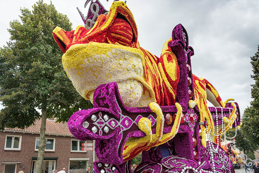 desfile-flores-dalias-corso-zundert-holanda-2 (4)