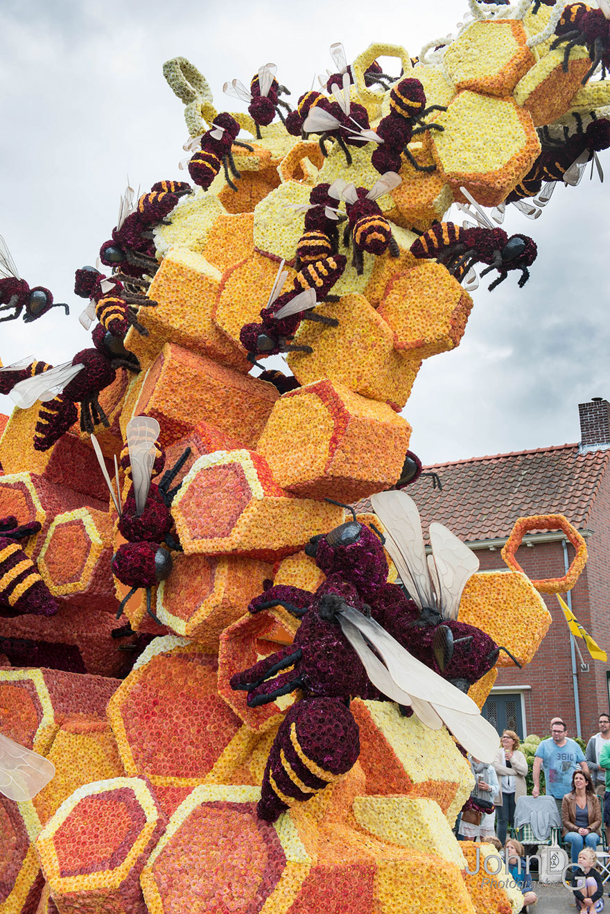 desfile-flores-dalias-corso-zundert-holanda-2 (6)