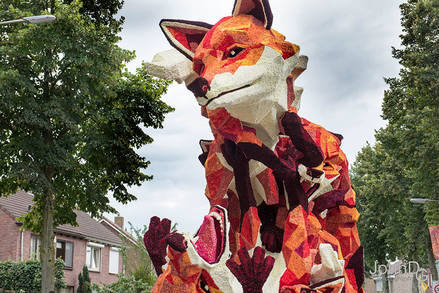 desfile-flores-dalias-corso-zundert-holanda-2 (7)