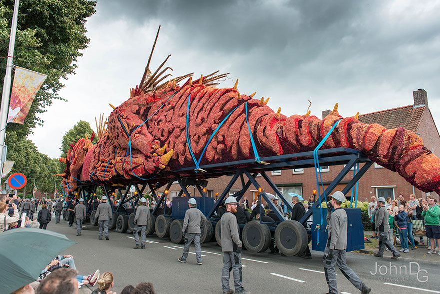 desfile-flores-dalias-corso-zundert-holanda-2 (8)