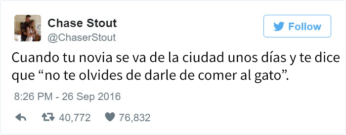 diminutas-tortitas-gato-wilson (1)