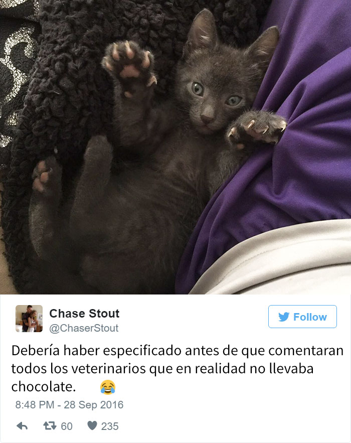 diminutas-tortitas-gato-wilson (2)