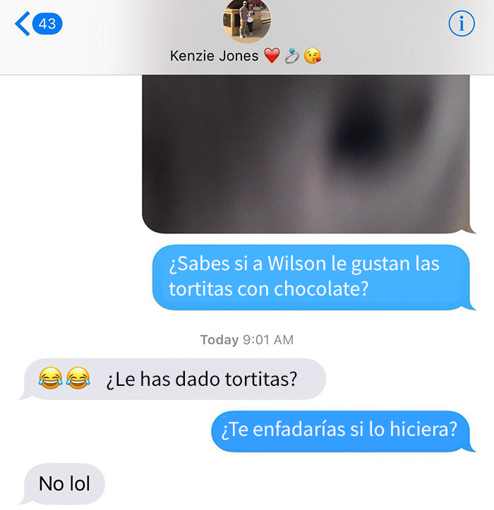 diminutas-tortitas-gato-wilson (3)
