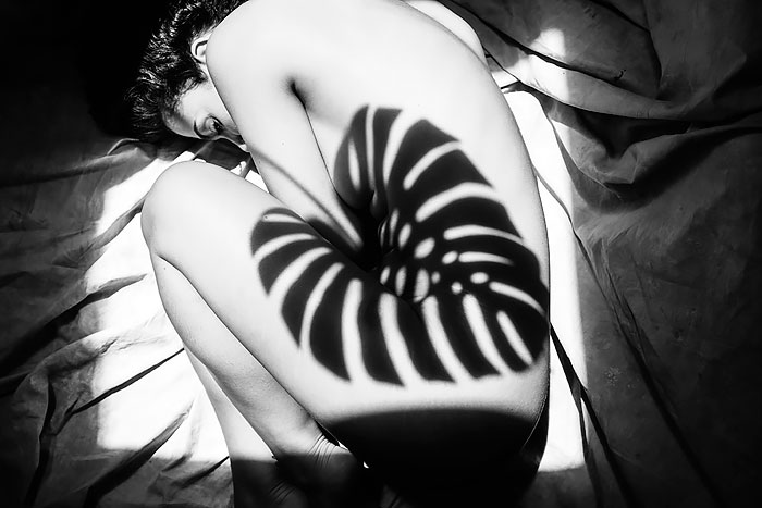fotografia-creativa-sombras (2)