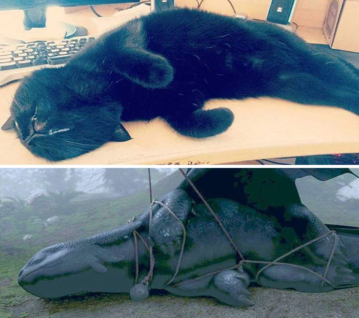 gatos-negros-parecidos-desdentado (5)
