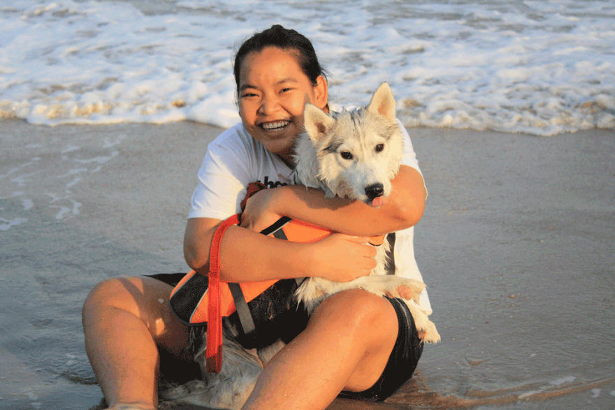 husky-maya-sin-garras-adoptada-kit-tailandia (10)