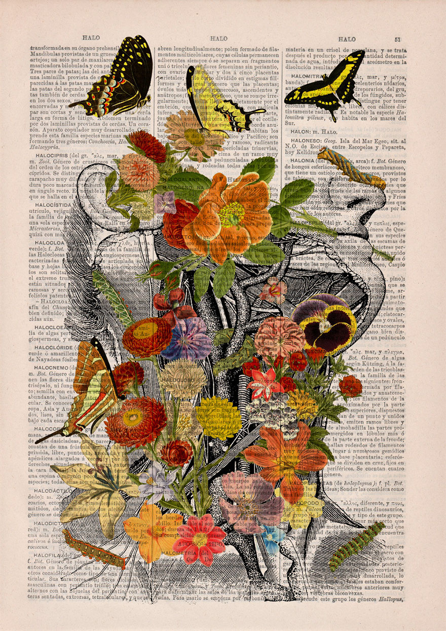 ilustraciones-anatomicas-flores-libros-viejos-prrint (5)