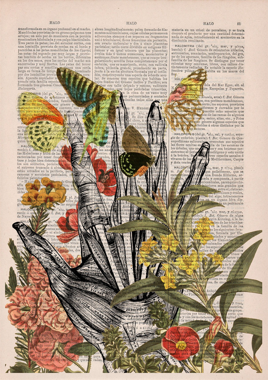 ilustraciones-anatomicas-flores-libros-viejos-prrint (6)