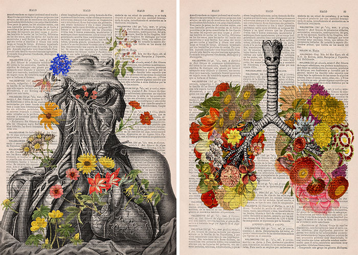 Estas ilustraciones anatómicas con flores insuflan nueva vida a los libros viejos en desuso