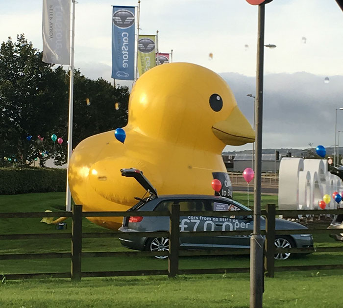 pato-hinchable-gigante-glasgow (3)