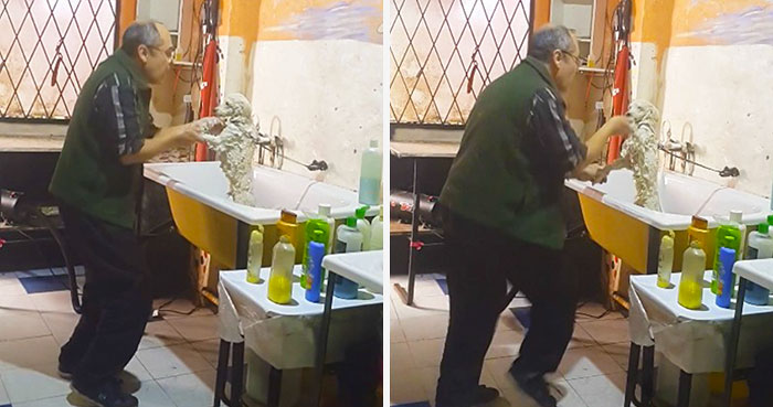 Este peluquero de mascotas argentino fue pillado bailando con el perro de un cliente y es encantador