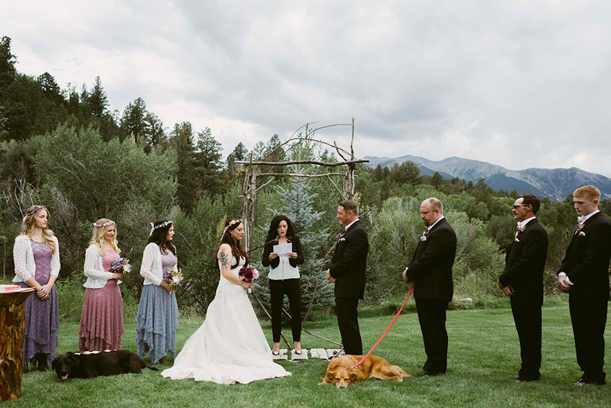 perro-moribundo-charlie-boda-kelly-oconnell (2)