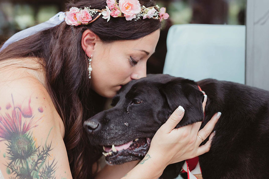 perro-moribundo-charlie-boda-kelly-oconnell (4)