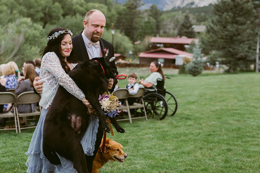 perro-moribundo-charlie-boda-kelly-oconnell (5)