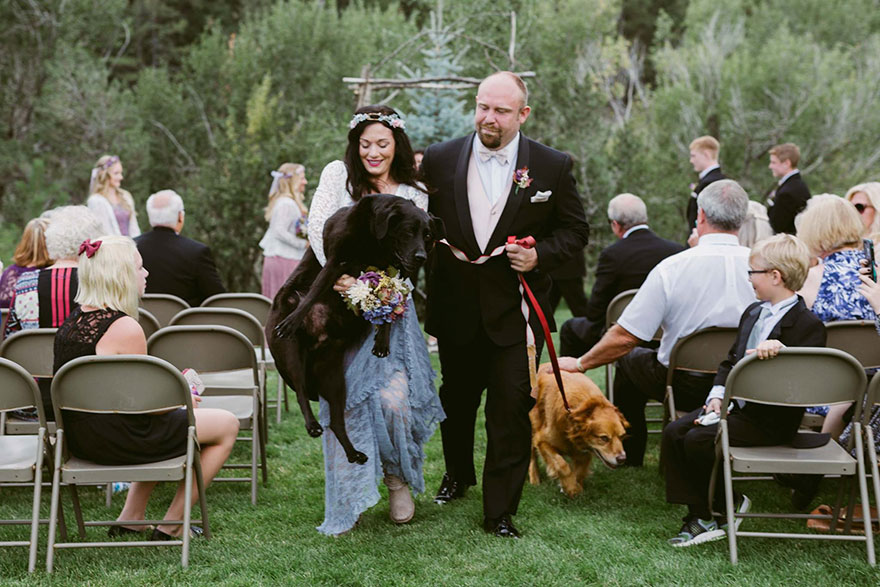 perro-moribundo-charlie-boda-kelly-oconnell (7)