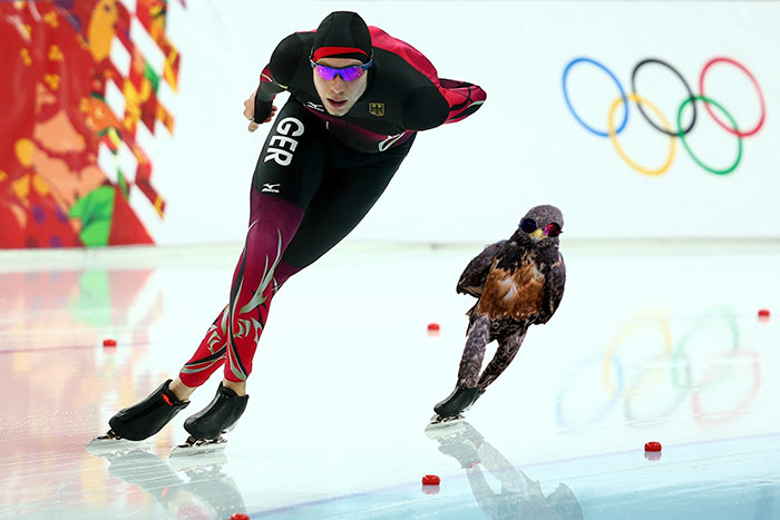 batalla-photoshop-halcon-rudo (10)