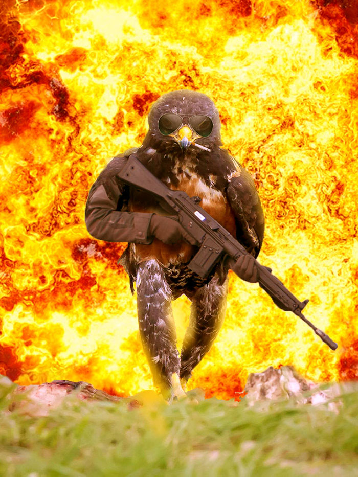 batalla-photoshop-halcon-rudo (3)