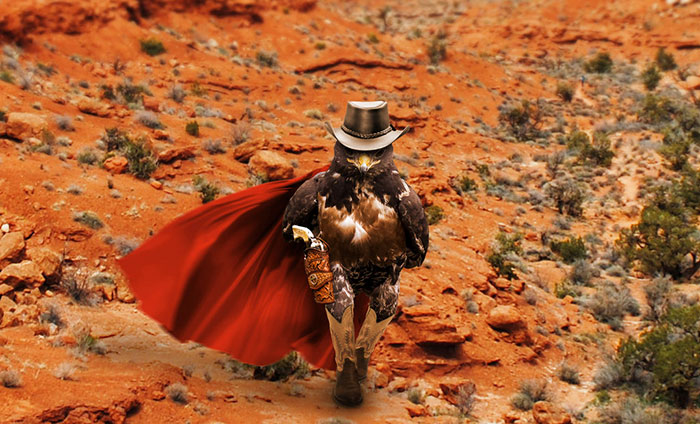 batalla-photoshop-halcon-rudo (7)