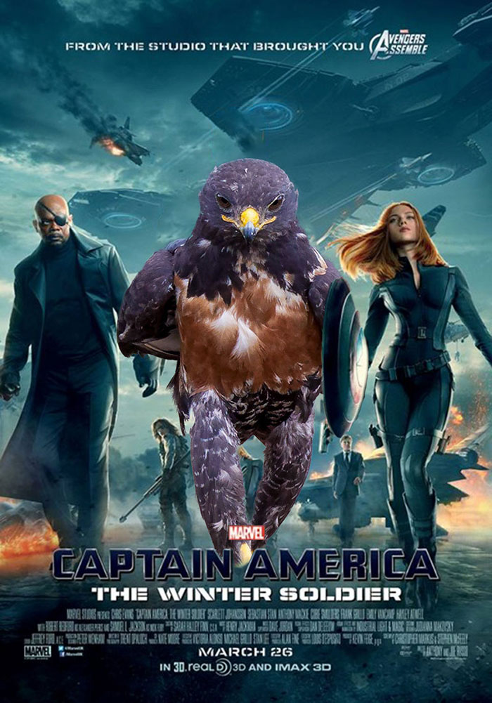 batalla-photoshop-halcon-rudo (9)