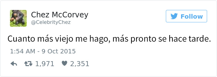 tuits-divertidos-ser-adulto-4