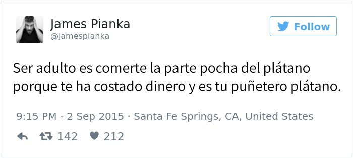 tuits-divertidos-ser-adulto-5