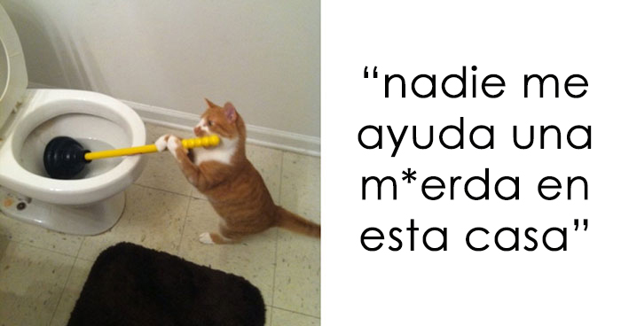 15 Publicaciones sobre gatos en Tumblr de las que es imposible no reírse