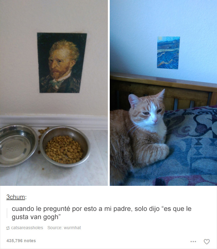 tumblrcat7