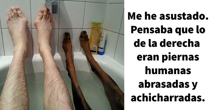 15 Publicaciones sobre perros en tumblr con las que es imposible no sonreír