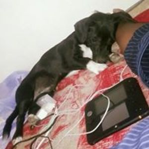 yyeyyoe avatar