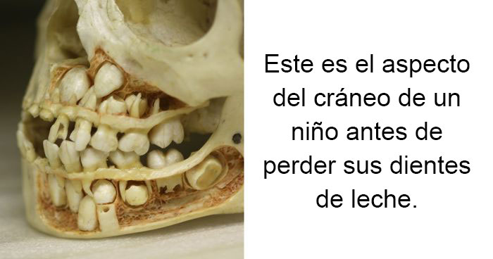 15 Datos sorprendentes que te harán ver el mundo de otra forma