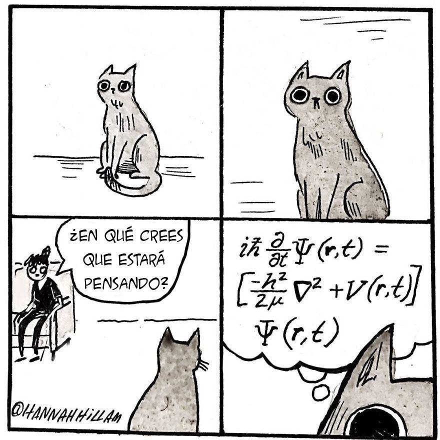 comic-gatos-hannah-1