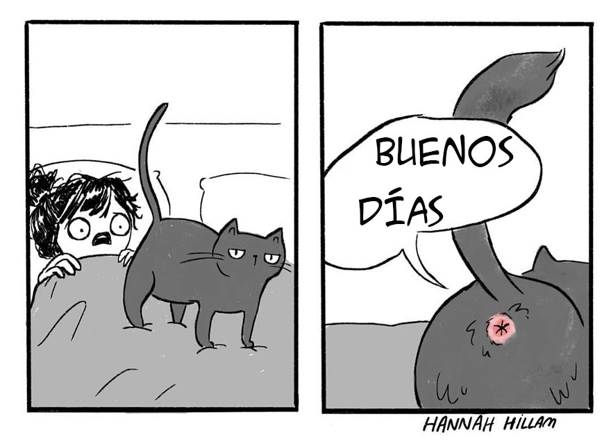 comic-gatos-hannah-4