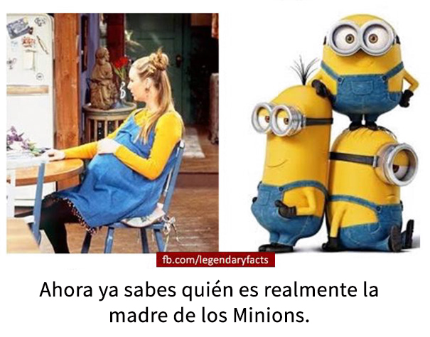 datos-falsos-humor-14