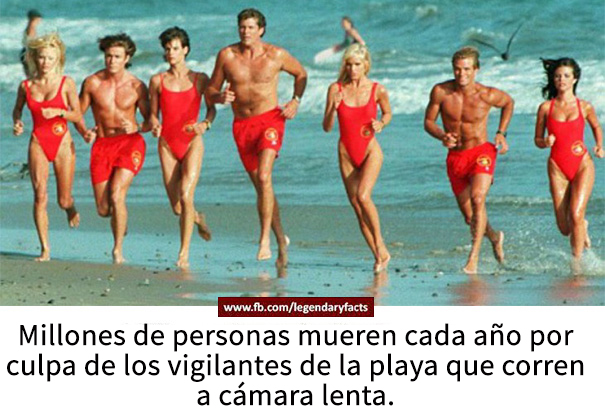 datos-falsos-humor-15