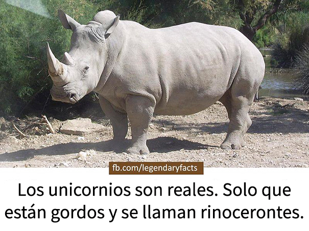 datos-falsos-humor-6