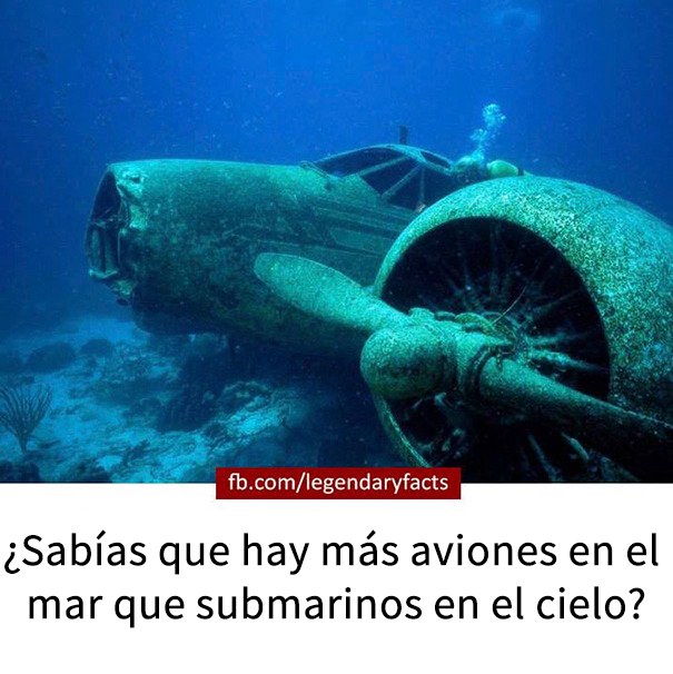 datos-falsos-humor-7