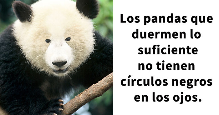 15 Datos increíbles que en realidad son 200% ciertos